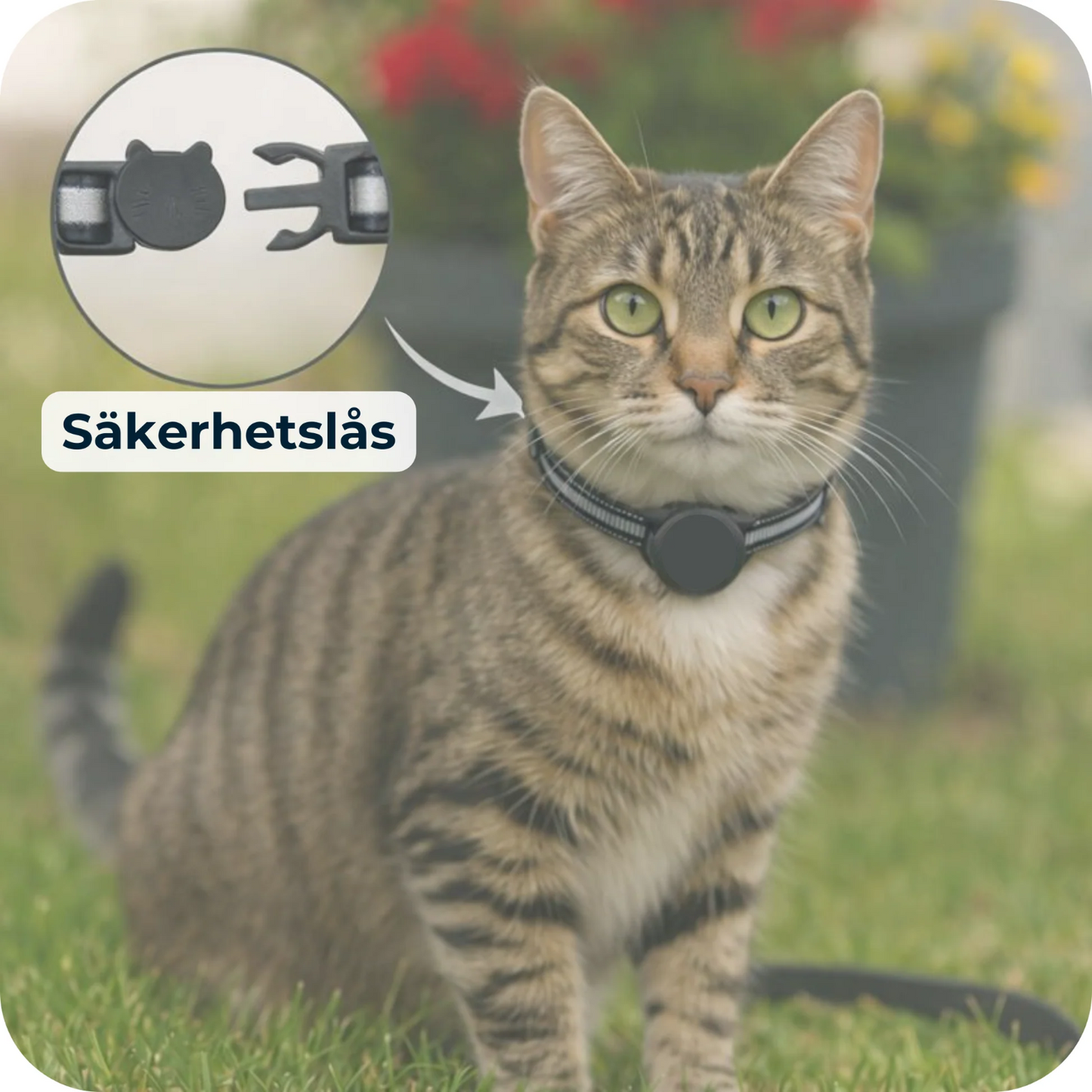 PawTrack – Full kontroll på din katt
