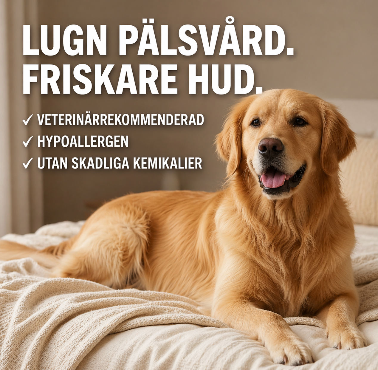 Pälsborsten - Bada Din Hund Utan Vatten