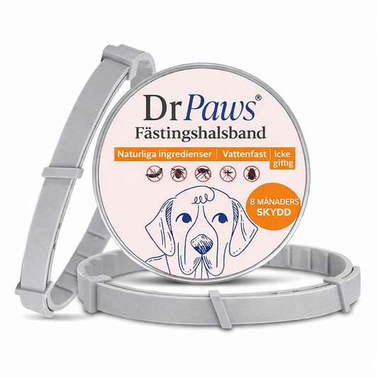 Fästingshalsband för Hund
