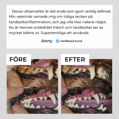 Freshwipes - Skyddar din hund mot tandproblem