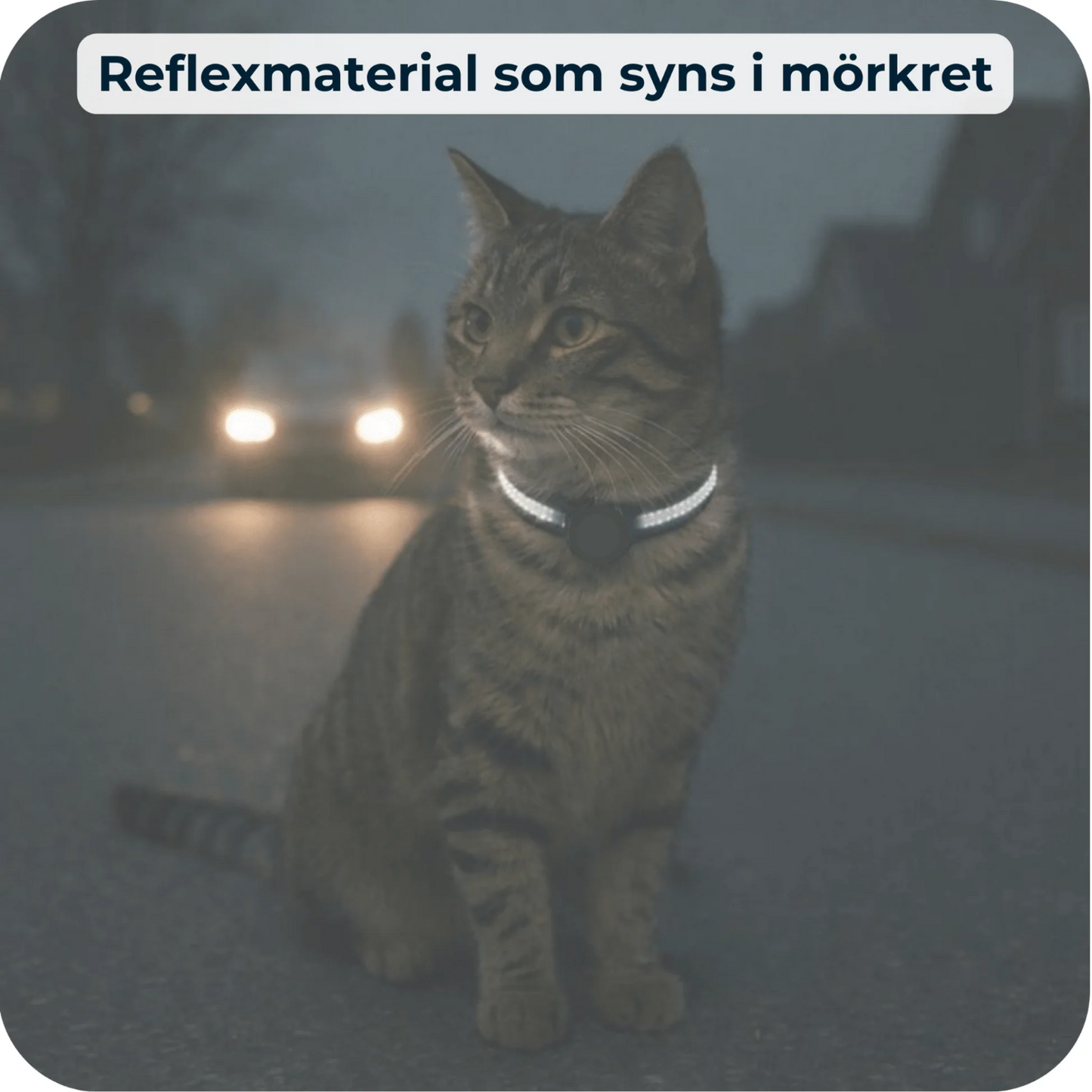 PawTrack – Full kontroll på din katt