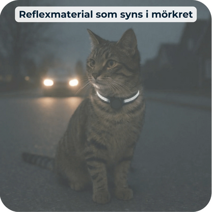 PawTrack – Full kontroll på din katt