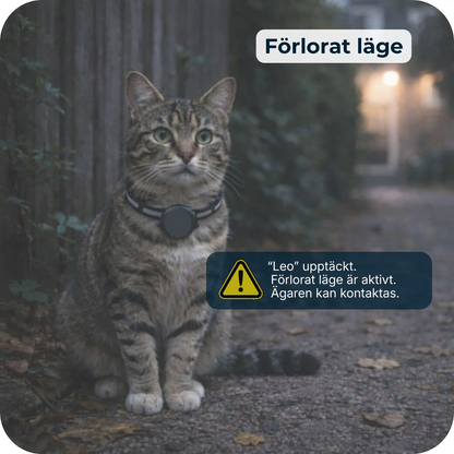 PawTrack – Full kontroll på din katt